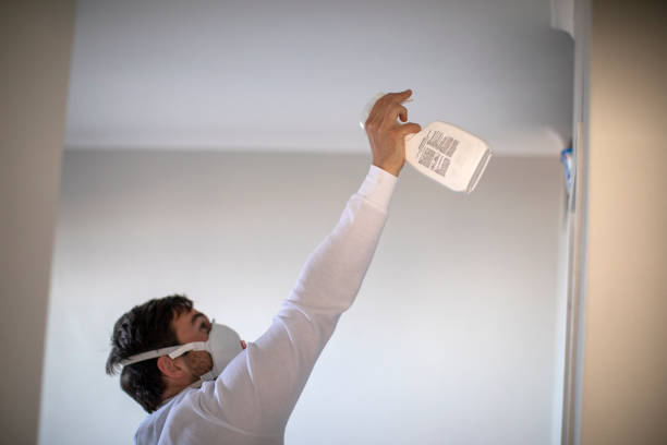 Best Residential Mold Removal  in Ellwood City, PA