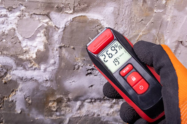 Best Toxic Mold Removal  in Ellwood City, PA
