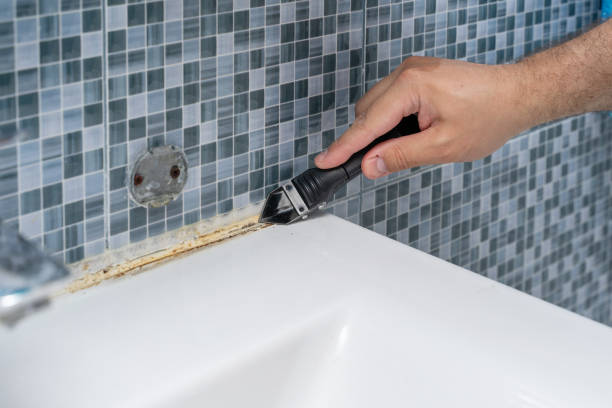 Trusted Ellwood City, PA Mold Removal Experts