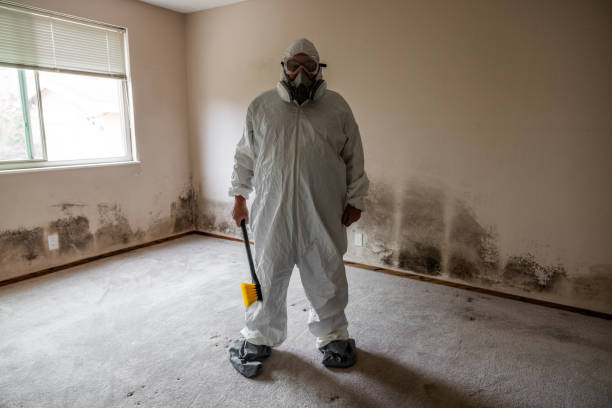 Best Commercial Mold Removal  in Ellwood City, PA